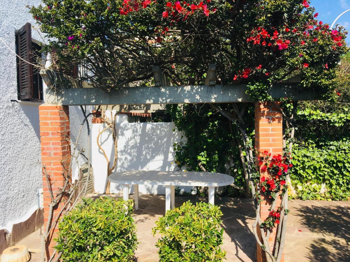 Apartamentos Tres Playas Altamar Alcossebre Екстериор снимка